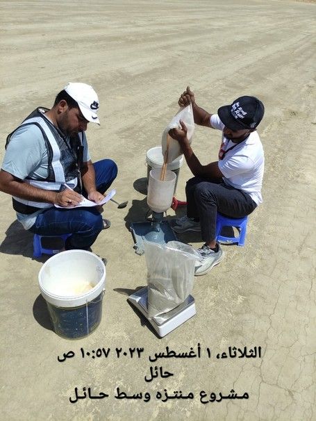 Design and construction works for the development of parks in central Hail