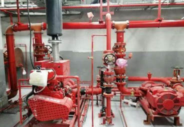 Landscape & Hardscape Image 3